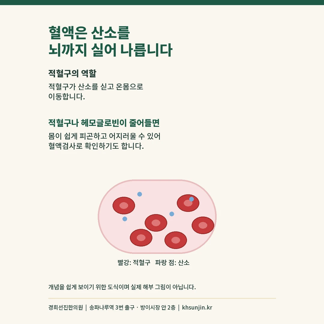 적혈구가 산소를 싣고 온몸으로 이동하는 개념을 나타낸 도식과 적혈구가 줄어들 때의 설명